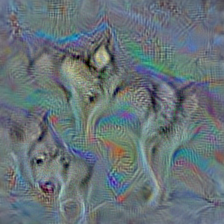 n02110063 malamute, malemute, Alaskan malamute